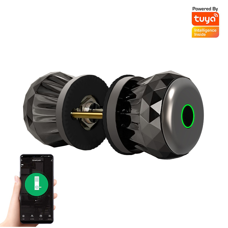 BDI Smart Knob Biometric Door Lock with Keys & TUYA  App Control