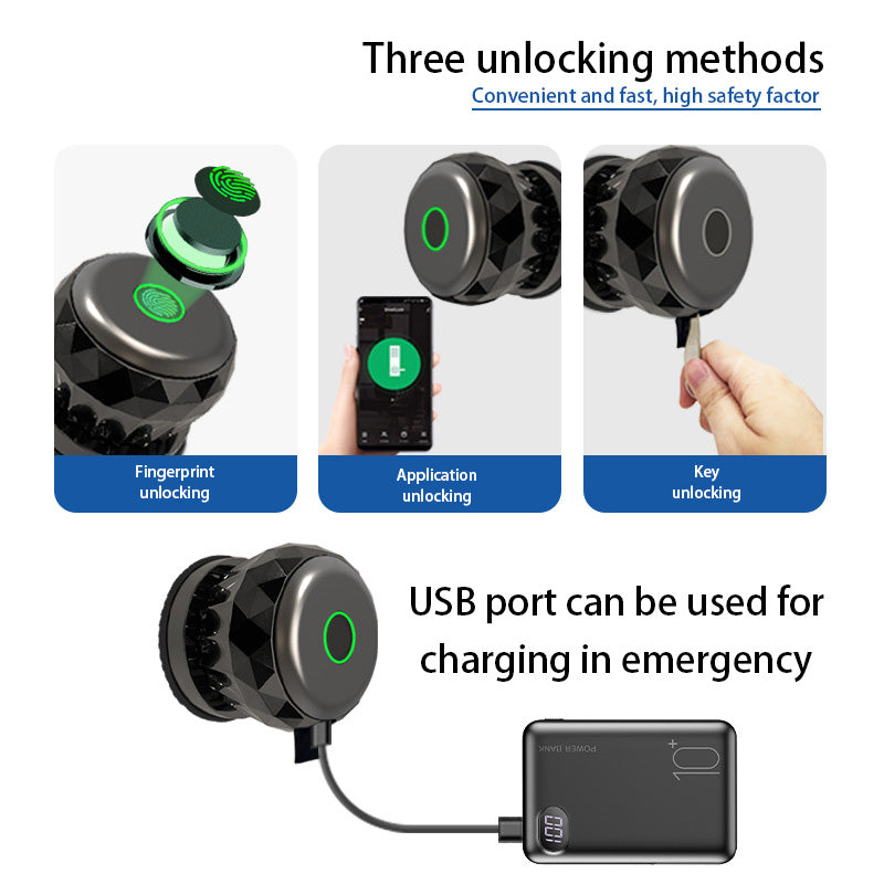 BDI Smart Knob Biometric Door Lock with Keys & TUYA  App Control